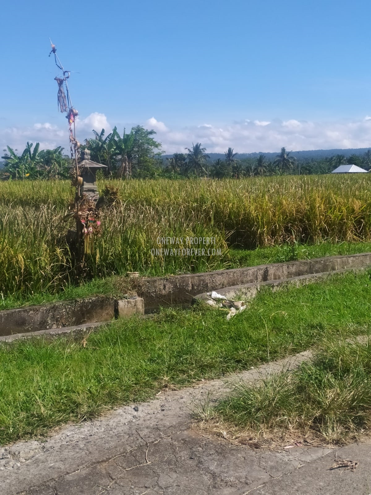 Tanah dijual di Penebel Tabanan